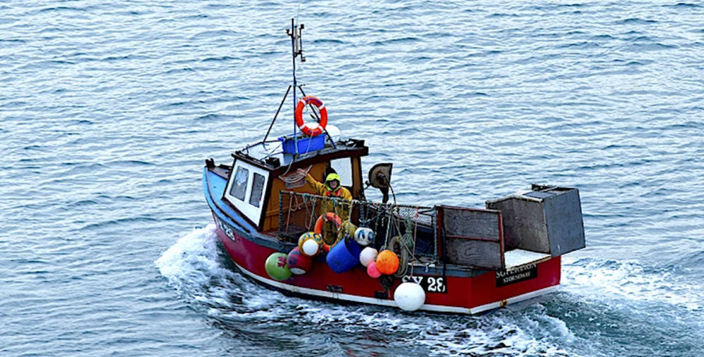 Don't Miss The Boat.