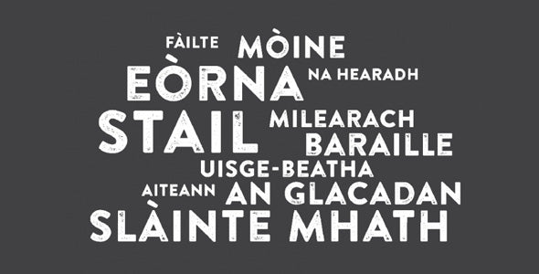 A bheil gàidhlig agaibh?