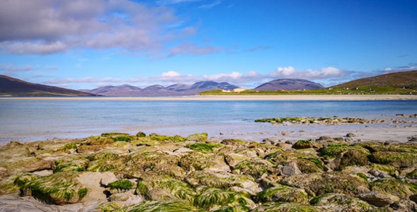 A Harris Summer