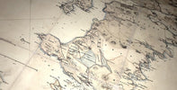 The Diaspora Project