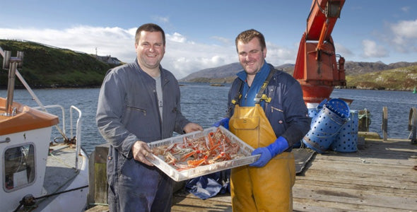 Sunshine and Seafood