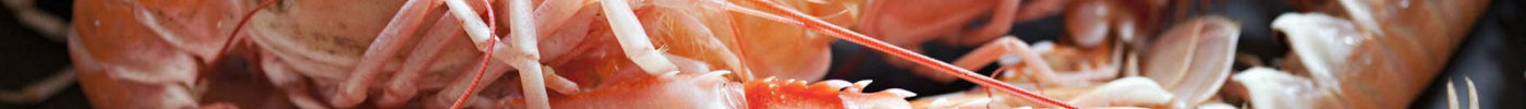 For The Love of Langoustines