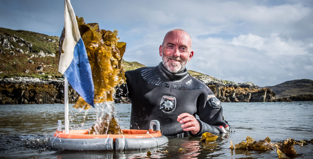 The Diver's Diary
