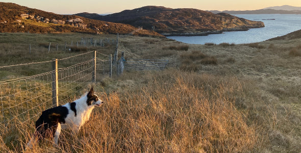 Views From Scalpay