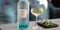 How To Become A Martini Maestro