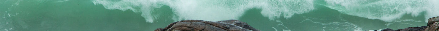 More Seaweed Stories