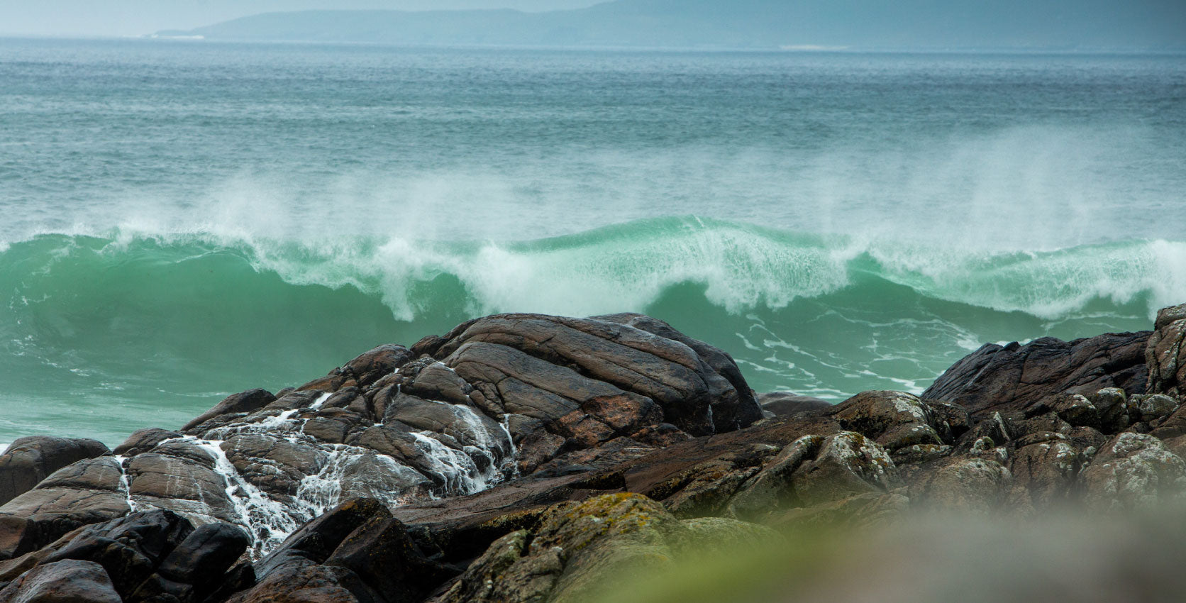More Seaweed Stories