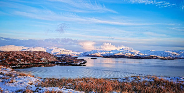 Isle Love Harris
