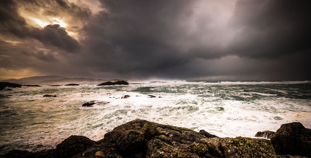 A Winter Sea Change