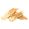 Angelica Root