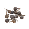 Cubebs