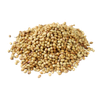 English Coriander Seed