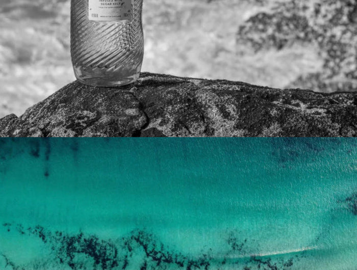 Bottle of Harris gin on a rock next to a picture of the sea shore