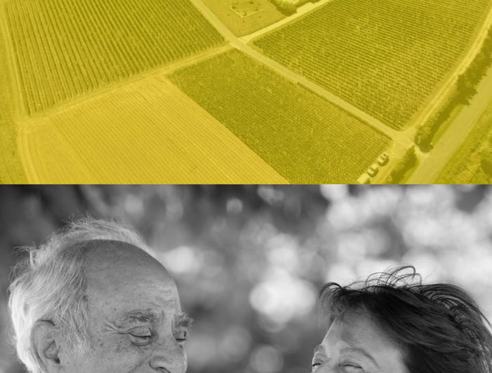 Top half of the image shows a yellow-tinged vineyard landscape, while the bottom half features a black and white photo of an older couple smiling.
