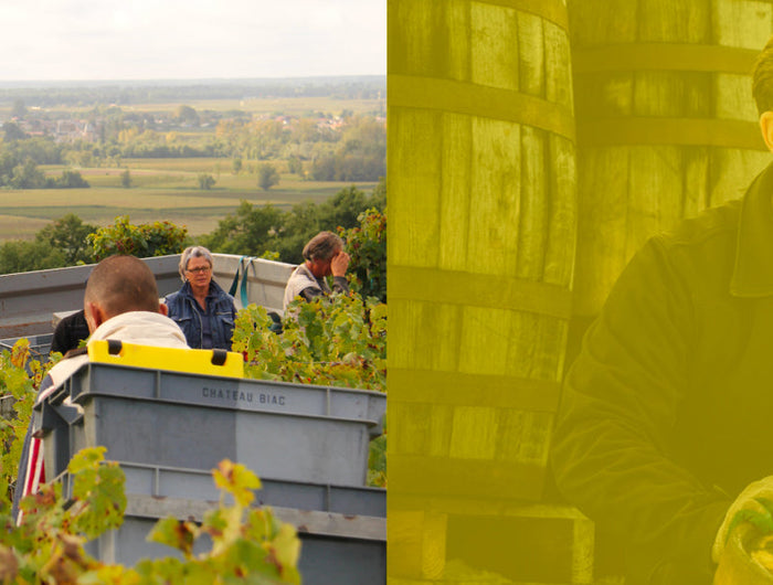Two images side by side; one shows people working in a field with crates, the other shows a person holding a container in front of a blurred background.