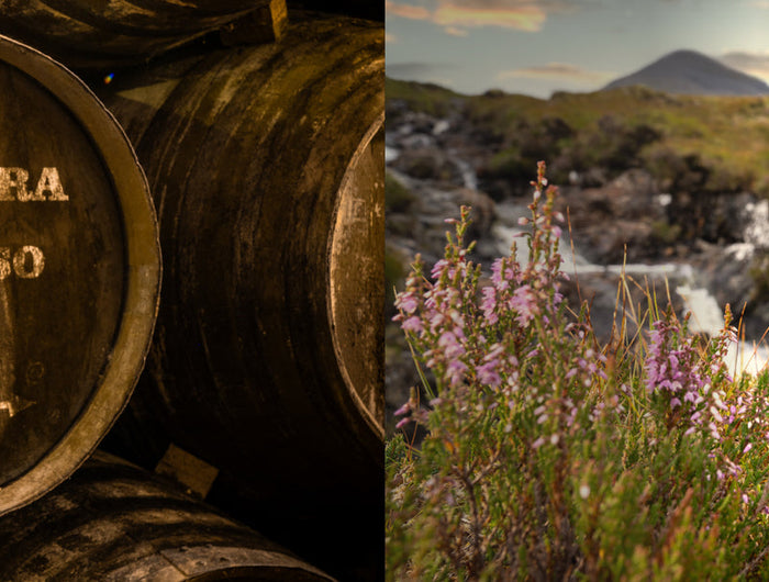Collage of whisky barrels and a bottle of whisky with a scenic background