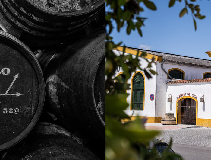 Barrels labeled 'Oloroso' next to an image traditional Spanish building in the background