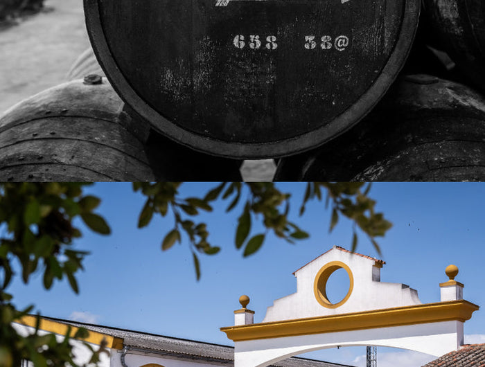 Oloroso wine barrel with a traditional Spanish building in the background