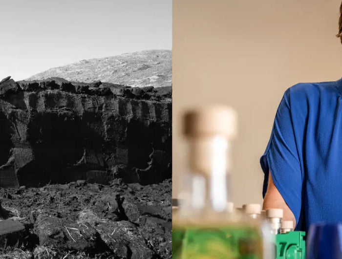 Split image with a black and white photograph of a stone wall on the left and a person in a blue shirt tasting wine on the right.
