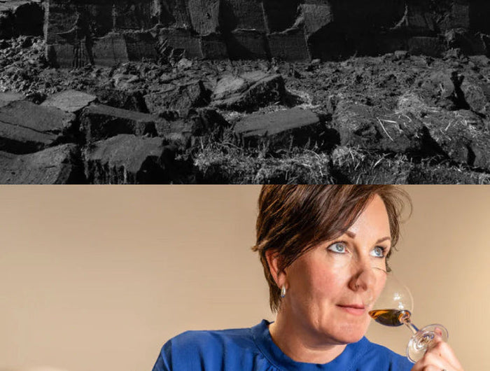 Top half of the image shows a rocky landscape, while the bottom half shows a woman in a blue shirt holding a glass.