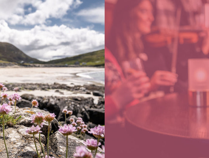 Bottle of pink liquid on a rocky beach with mountains in the background, followed by a blurred image of people at a bar.