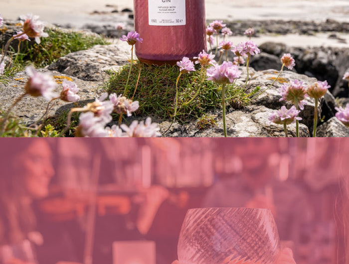 Bottle of Harris Gin on a rocky beach with mountains in the background, followed by a close-up of a hand holding a glass.