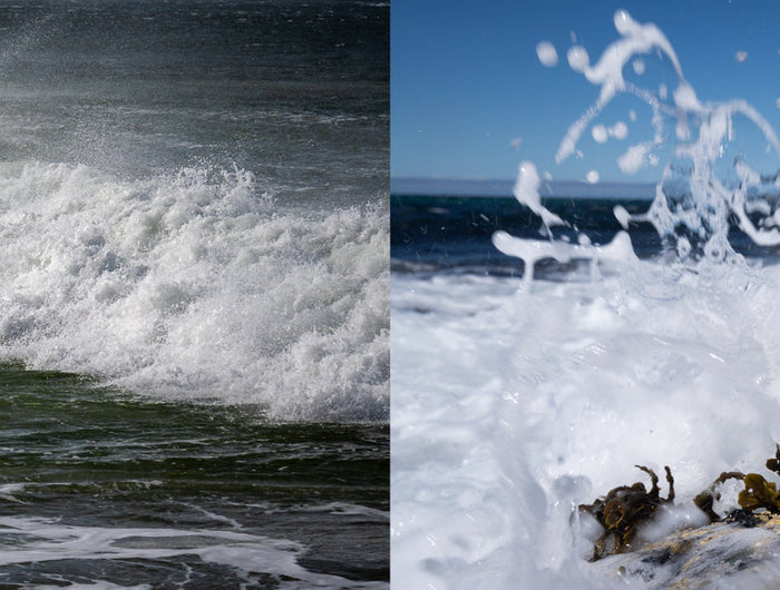 Gin bottle in a wave with ocean scene on left