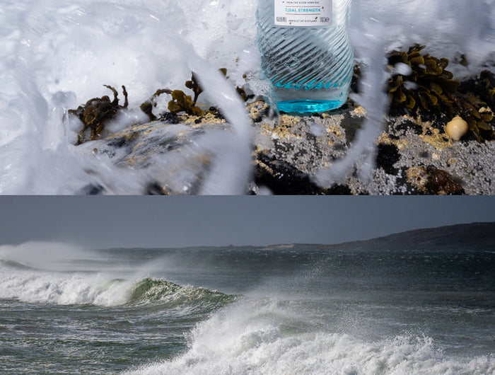 Bottle of Harris Gin on a rocky shore with ocean waves in the background